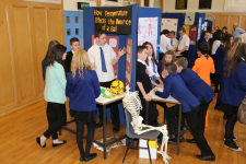 Science Fayre 2014